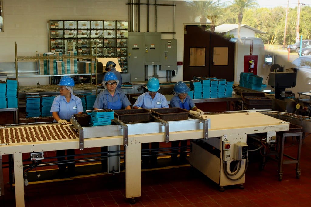 Four workers in hairnets taking chocolates off a conveyor line and packing them into boxes